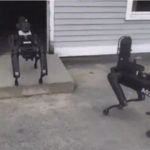 boston-dynamics-robot-dog