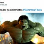 eric-zemmour-vert-couleur-islam-detournement