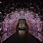 Miss Dior Exposition love'n roses Shanghai